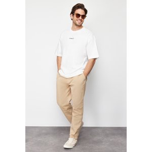 Trendyol Limited Edition Mink Regular Fit Pleated Detailed Soft Touch Chino Trousers