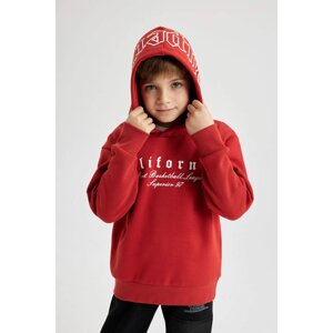 DEFACTO Regular Fit Hooded Sweatshirt