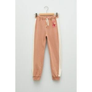 LC Waikiki Sweatpants Women/Girls