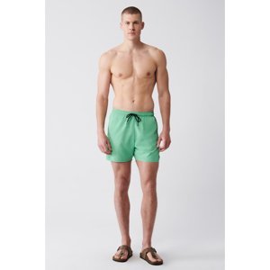 Avva Men's Light Green Quick Dry Standard Size Flat Swimwear Marine Shorts