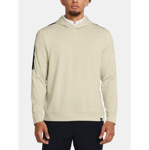 Under Armour Hoodie UA Playoff Hoodie-BRN - Men