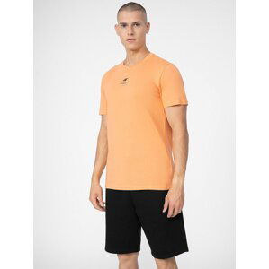 Men's cotton T-shirt 4F