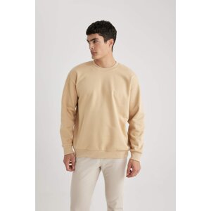 DEFACTO Oversize Fit Sweatshirt