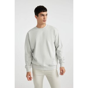 DEFACTO Oversize Fit Sweatshirt