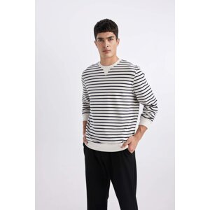 DEFACTO Modern Fit Crew Neck Striped Sweatshirt