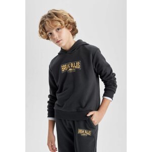 DEFACTO Boy Printed Hooded Thick Sweatshirt