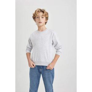 DEFACTO Boy Regular Fit Crew Neck Sweatshirt