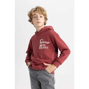 DEFACTO Regular Fit Printed Hooded Sweatshirt