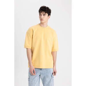 DEFACTO Loose Fit Crew Neck Printed T-Shirt