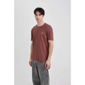 DEFACTO Regular Fit Crew Neck Printed T-Shirt