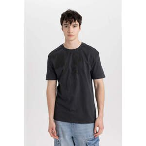 DEFACTO Regular Fit Crew Neck Printed T-Shirt