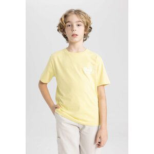 DEFACTO Boy Crew Neck Printed Short Sleeve T-Shirt