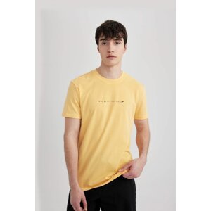 DEFACTO Slim Fit Crew Neck Printed T-Shirt