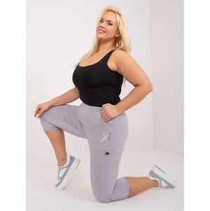 Light grey fitted trousers 3/4 plus size
