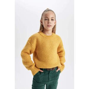 DEFACTO Girl Regular Fit Crew Neck Pullover