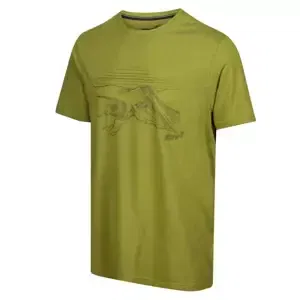 Men's T-shirt Inov-8 Graphic "Helvellyn" Green