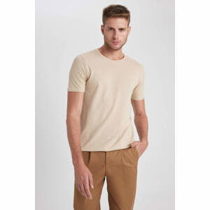 DEFACTO Slim Fit Crew Neck T-Shirt