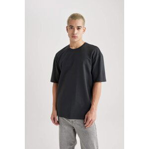 DEFACTO Oversize Fit Crew Neck T-Shirt