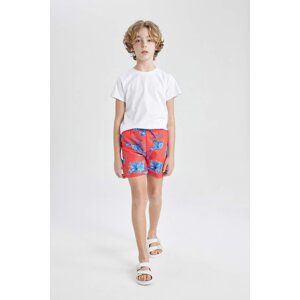 DEFACTO Boy Regular Fit Swimming Short