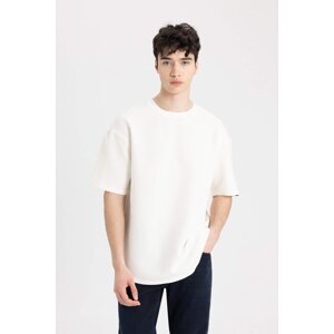 DEFACTO Comfort Fit Crew Neck T-Shirt