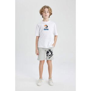 DEFACTO Regular Fit Shaquille O'Neal Licensed  Normal Waist Short