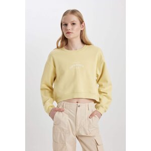 DEFACTO Boxy Fit Long Sleeve Sweatshirt