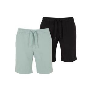 Men's Stretch Twill 2-Pack Shorts - Mint + Black
