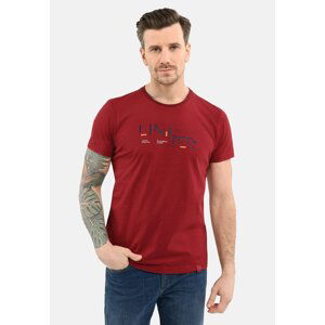 Volcano Man's T-Shirt T-Ted