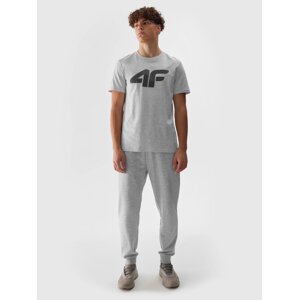 Men's jogger sweatpants 4F - grey