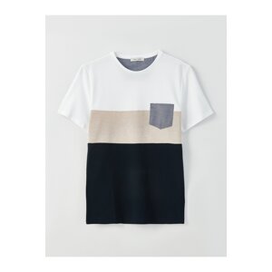 LC Waikiki Crew Neck Short Sleeved Men's Color Block T-Shirt.