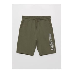 LC Waikiki Standard Fit Men's Shorts