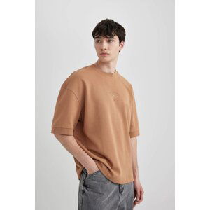 DEFACTO Loose Fit Crew Neck Printed T-Shirt