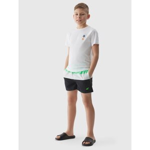 Boys' 4F Boardshorts Beach Shorts - Green