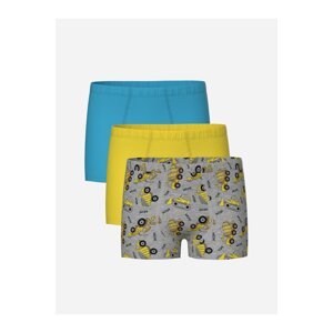 LC Waikiki Printed Boy Boxer 3-pack