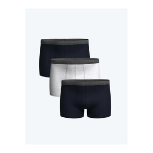 LC Waikiki 3-Pack Standard Mold Cotton Flexible Men's Boxer
