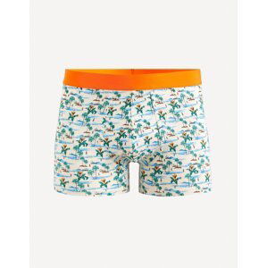 Celio Patterned Boxer Shorts Giboparadi - Men's