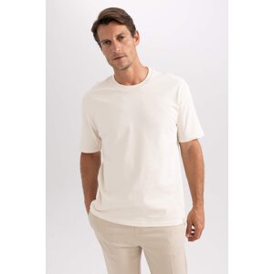 DEFACTO Oversize Fit Crew Neck T-Shirt