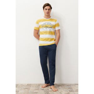 Trendyol Men's Yellow Regular Fit Striped Knitted Pajama Set