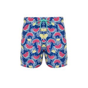 Trendyol Multi Color Standard Size Watermelon Print Swim Shorts