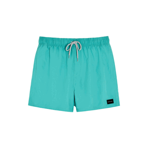 Swimsuit Rip Curl OFFSET VOLLEY Teal