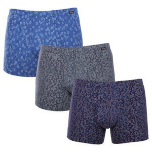 3PACK Men's Shorts Andrie multicolor