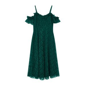 Trendyol Curve Emerald Green Woven Guipure Detailed Plus Size Dress