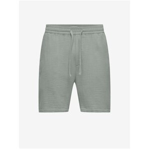 Grey Men's Shorts ONLY & SONS Tel - Men's