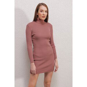 Bigdart 15797 Turtleneck Sweater Dress - Dried Rose