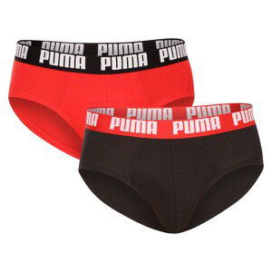 2PACK men's briefs Puma multicolor