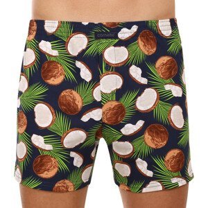 Men's shorts Cornette Classic oversized multicolor