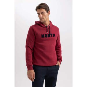 DEFACTO Regular Fit Long Sleeve Sweatshirt