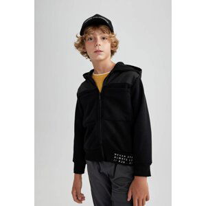 DEFACTO Regular Fit Hooded Cardigan