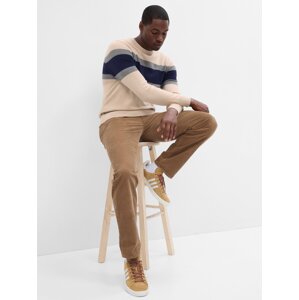 GAP Sweater with stripes - Men's