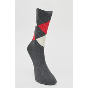 ALTINYILDIZ CLASSICS Men's Anthracite-Red-Ecru Patterned Cotton Casual Socks.